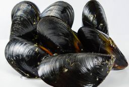 Totten Inlet Mussels